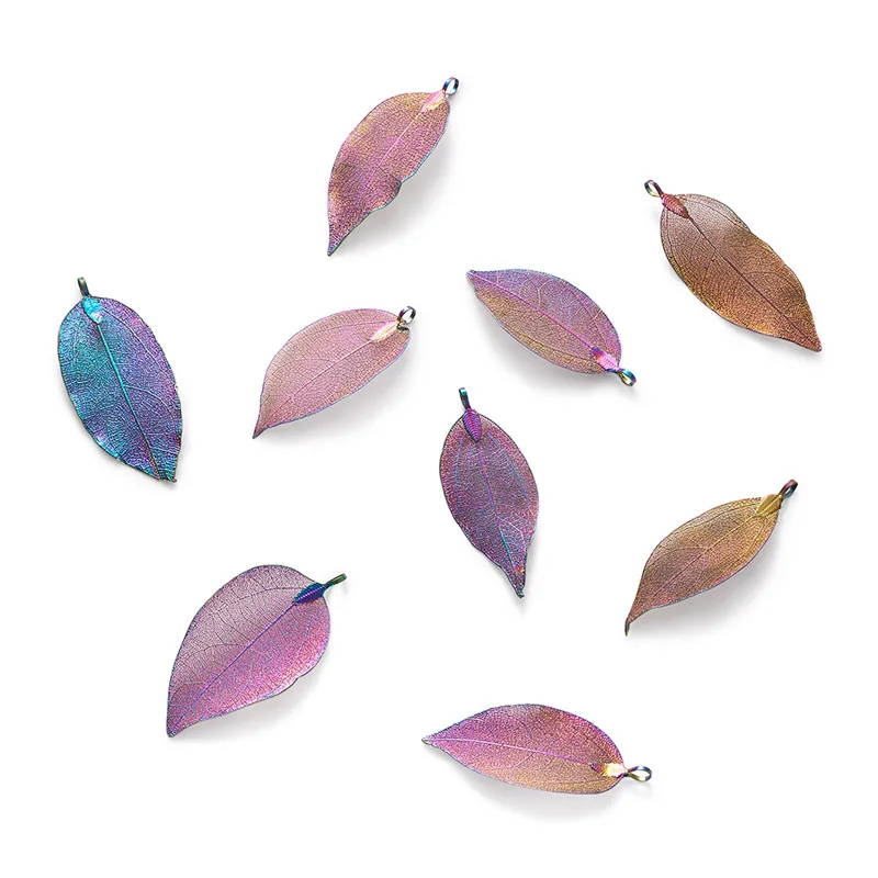 IFIN-Q119-03L_01