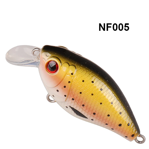 NF005