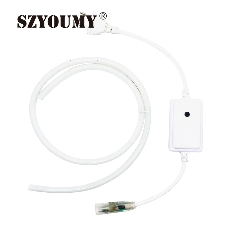 buy SZYOUMY 220V 12V 5050 Neon Led Strip Light Flexible String 80 Led M Fairy Lighting IP67 Waterproof with Power Plug