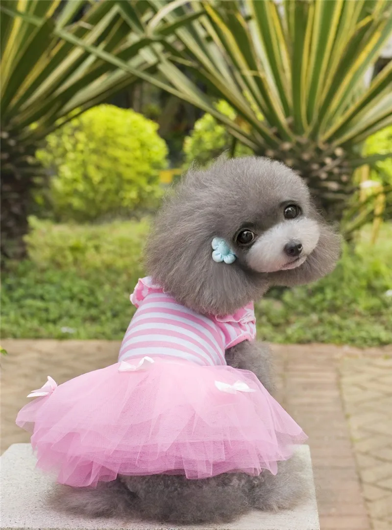 Y04_Sweaty_Small_Dog_Dress_Cute_Pet_Dog_Puppy_Stripe_Bow_Lace_Tutu_Dress_Princess_Pet_Skirt_for_Chihuahua_Yorkshire_ (7)