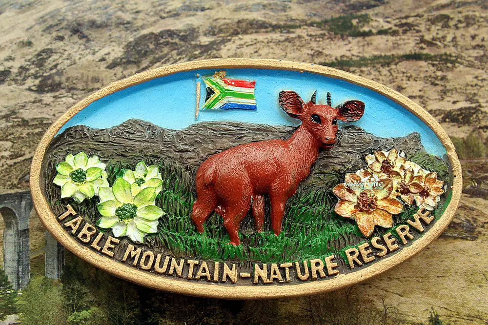 Table Mountain Nature Reserve, South Africa Souvenir 3D Resin Fridge