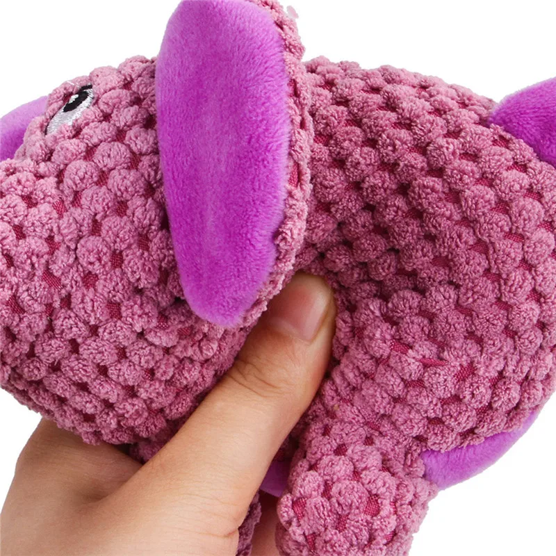 8 - CJJ90522808_0421293661683389989