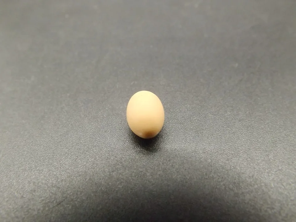 Tiny-A025Egg (7)