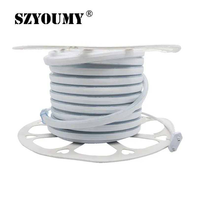 #Best 100M 220V 12V Led Strips SMD 2835 LED Rope Light IP67 Flex Neon LED Strip Lights Outdoor Lighting String Disco Christmas Party