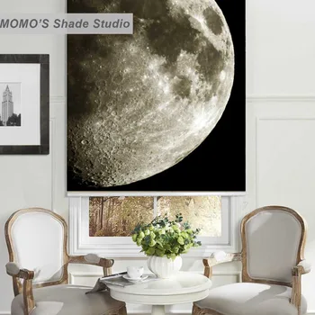 

MOMO Painting Blackout Window Curtains Roller Shades Blinds Thermal Insulated Fabric Custom Size,PRB set628-633