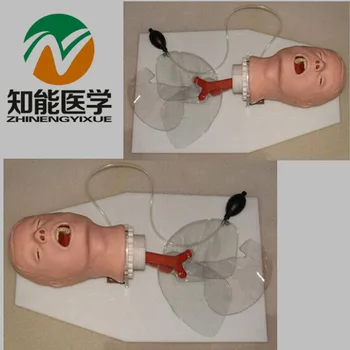 

Hot Sell Direct Selling BIX-J50 Airway Training Model,Trachea Intubation Training Model W005