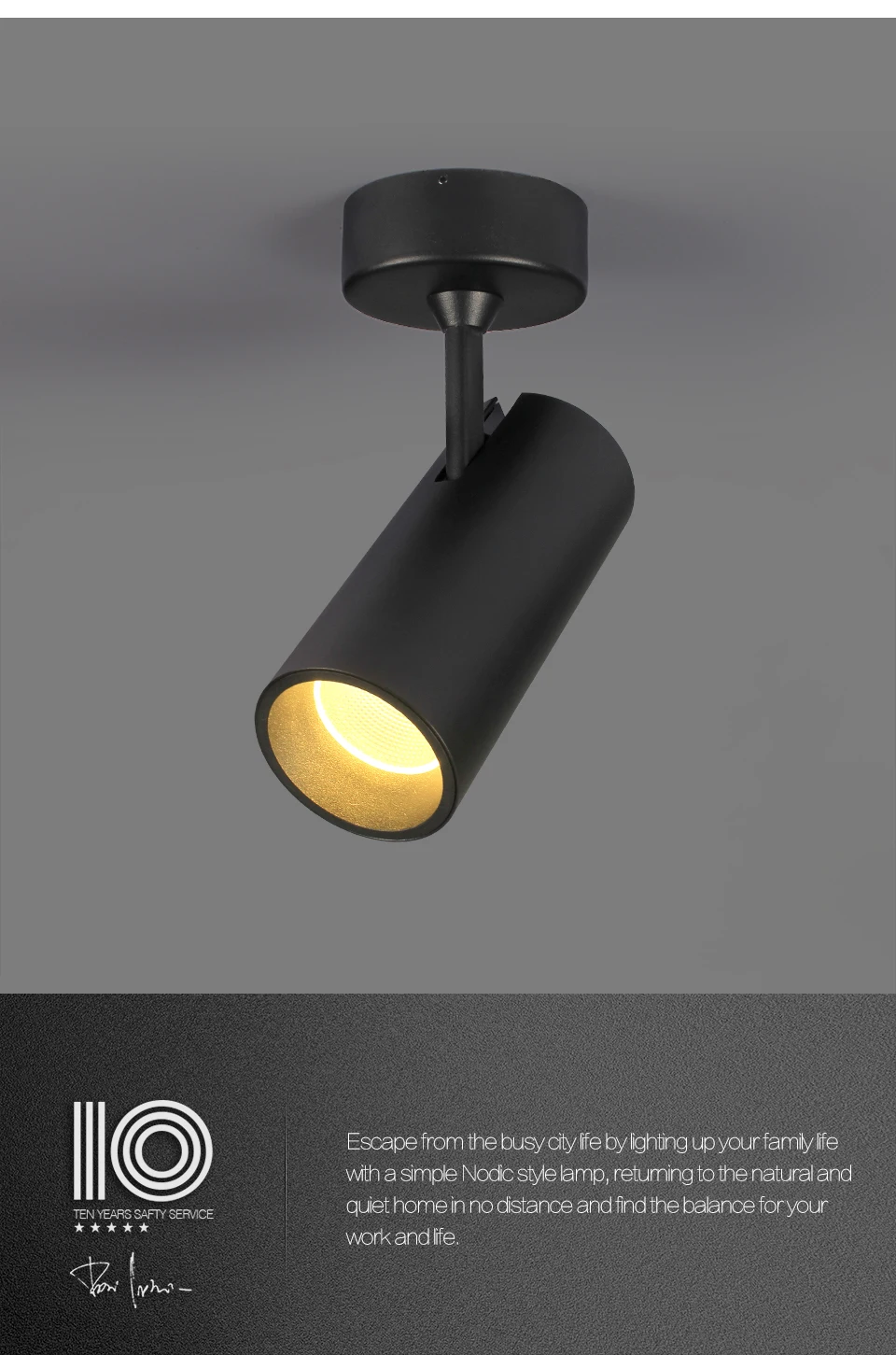 Aisilan, скандинавский светодиодный прожектор, современный, монтируемый на поверхность, для гостиной, спальни, коридора, AC85-260V, 12 Вт, черный, белый цвет
