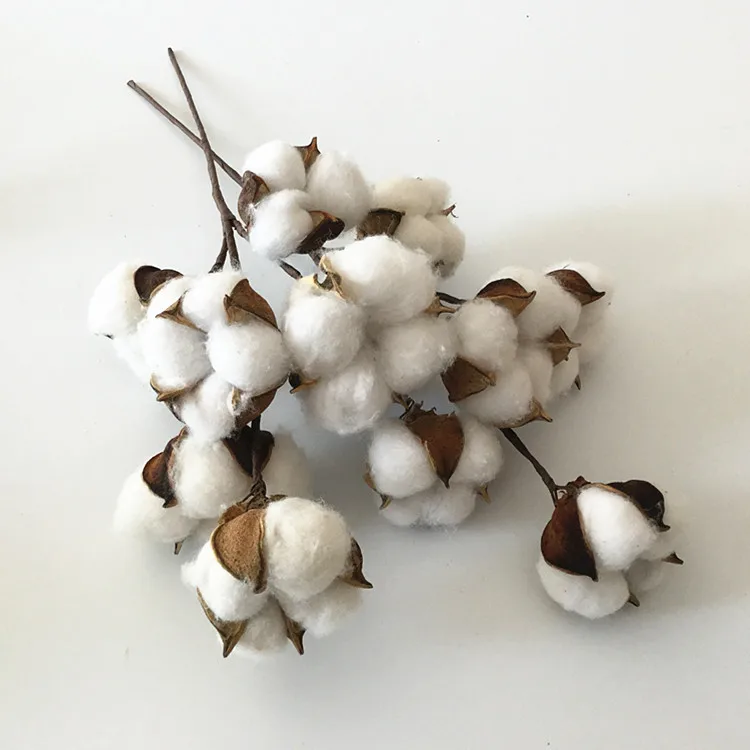 Flone 6 Head Dried Flower Cotton Branch Cotton Long Branch Simulation Cotton Tree Branch Home Wedding Decor Artificial Flowers (5)