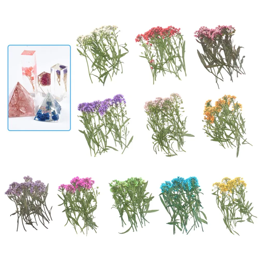 

12 Pcs/Set Dry Flower DIY Epoxy Resin Tools Filling Jewelry Making Phone Case Handmade Dried Flowers Floral Bookmark Label 11 Co