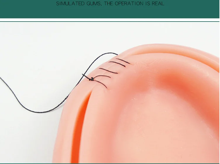  Gum suture oral suture training module medical teaching silicone periodontitis suture training - 32906479602