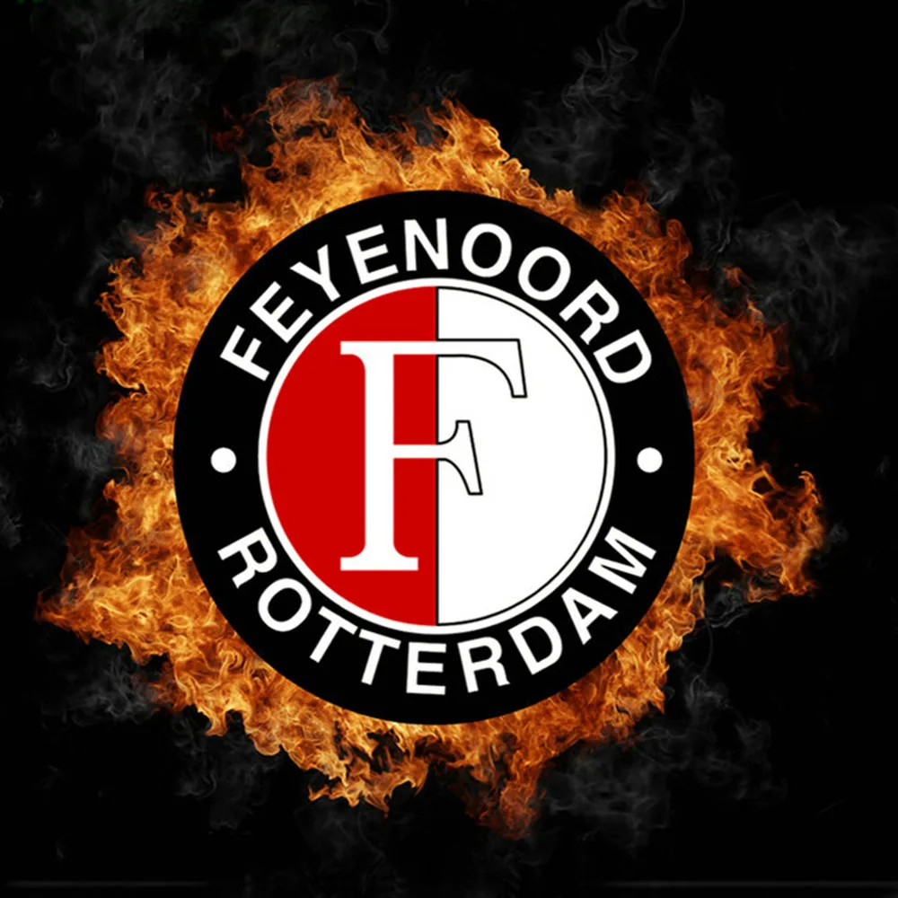 5d Diy алмазная живопись Feyenoord psv Nederland полная квадратная дрель 3d Стразы мозаика футбольная команда эмблема Алмазная вышивка - Цвет: Белый