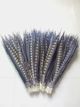 

New! Wholesale 50 pc quality natural Lady Amherst Pheasant feathers, 14-16inches / 35-40cm, DIY jewelry decoration