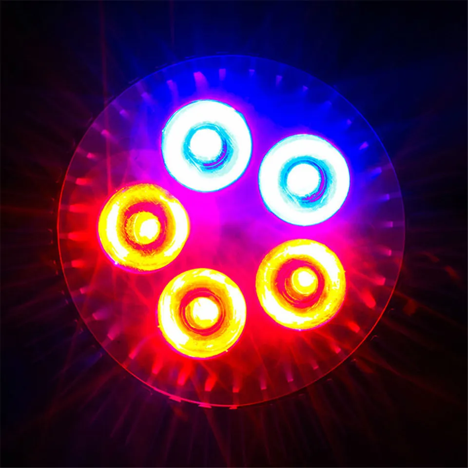 3323269501_1992875395