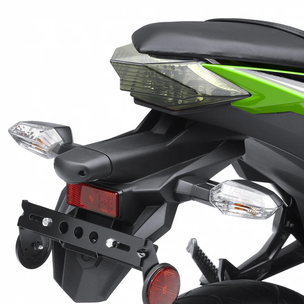 kawasaki ninja 250 300 (14)