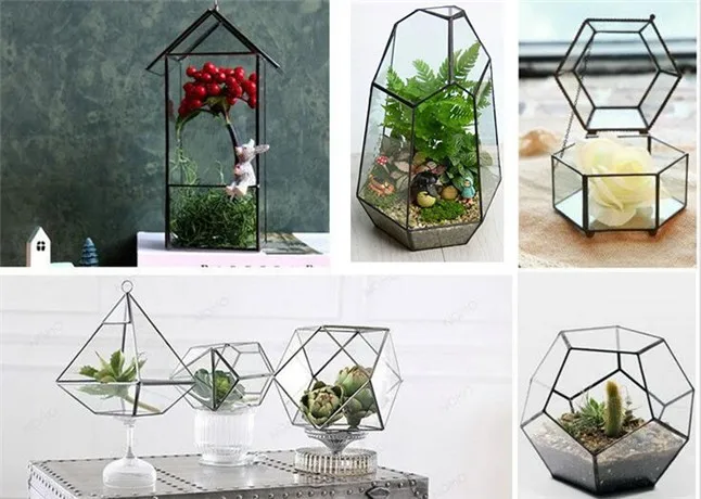 Glass Terrariums 3