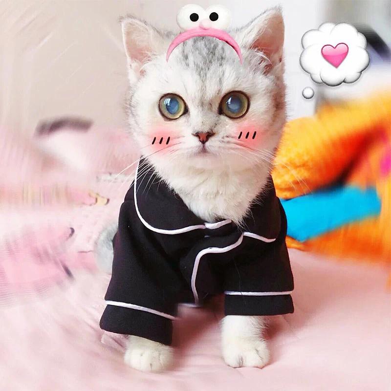 cat clothes aliexpress