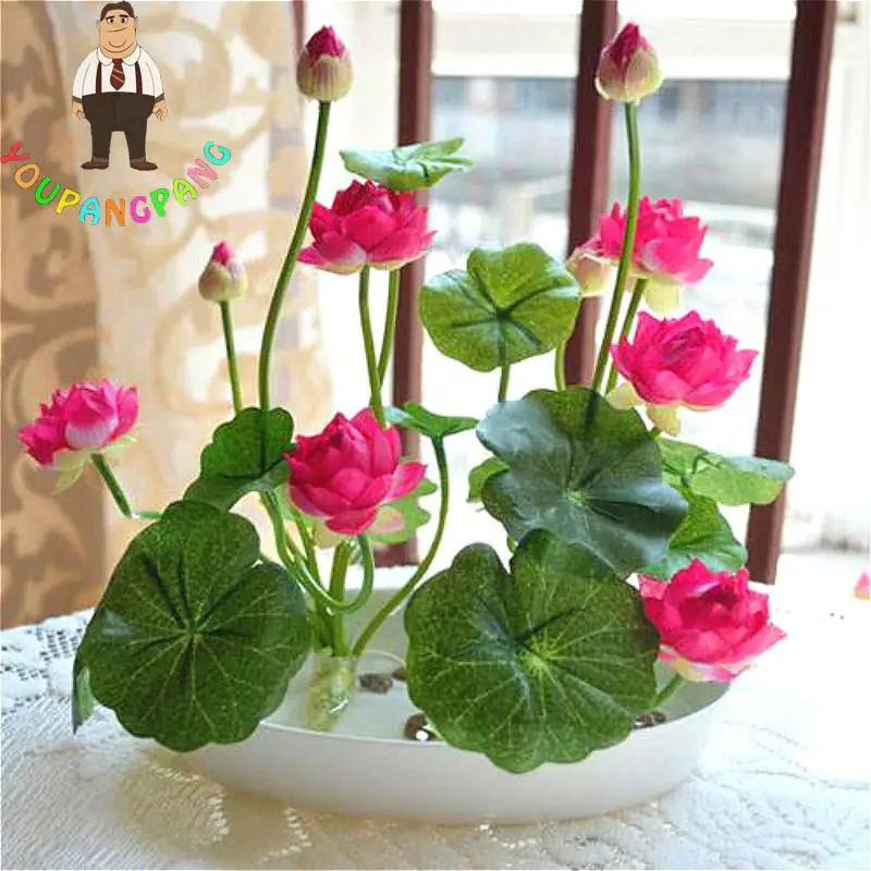 

5pcs Bowl Lotus bonsai Hydroponic Flower plants Water Lily plantas For Mini Garden Perennial Flowers