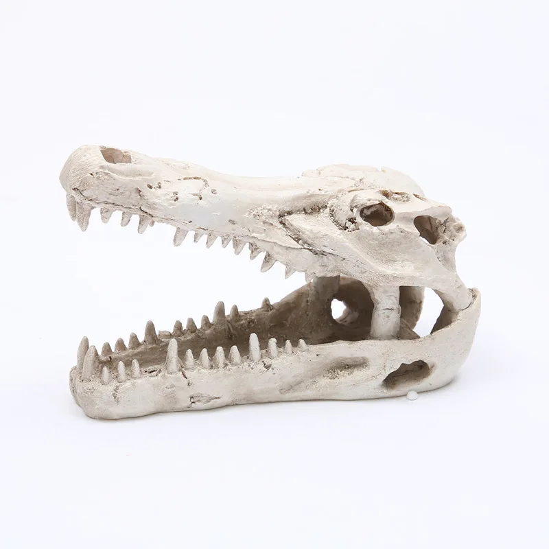 

Aquarium Decoration Aquatic Plant Landscape fish tank animal dino head Resin Skull Landscaping