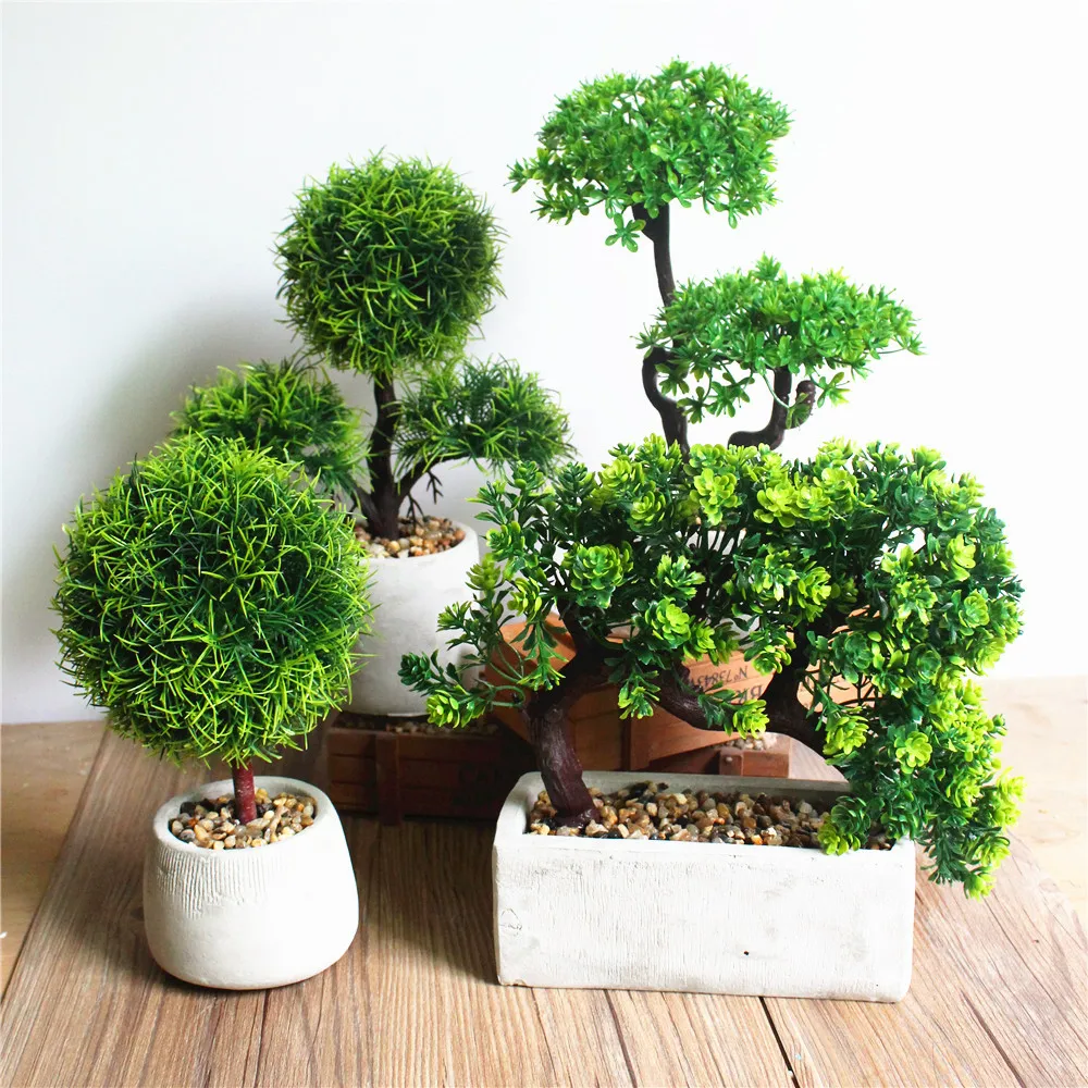 Купить Домашние Деревья В Екатеринбурге