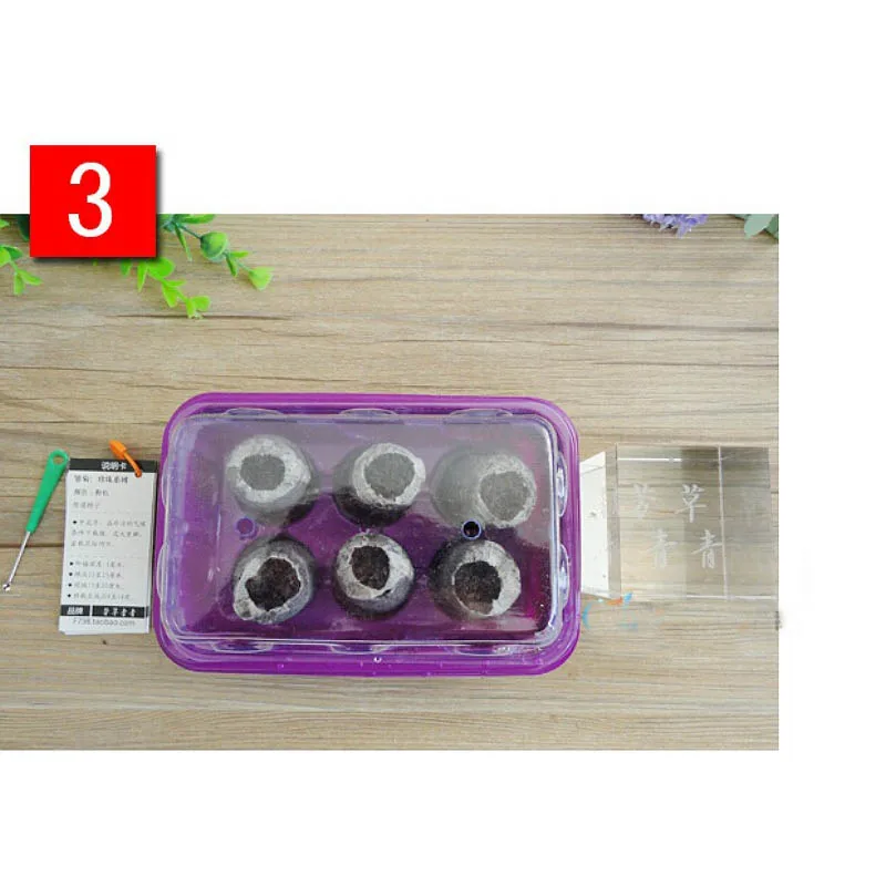 5Pcs seedlings, soil, potted plants, nutrient soil, potted peat particles, seedlings, garden supplies, gardening tools
