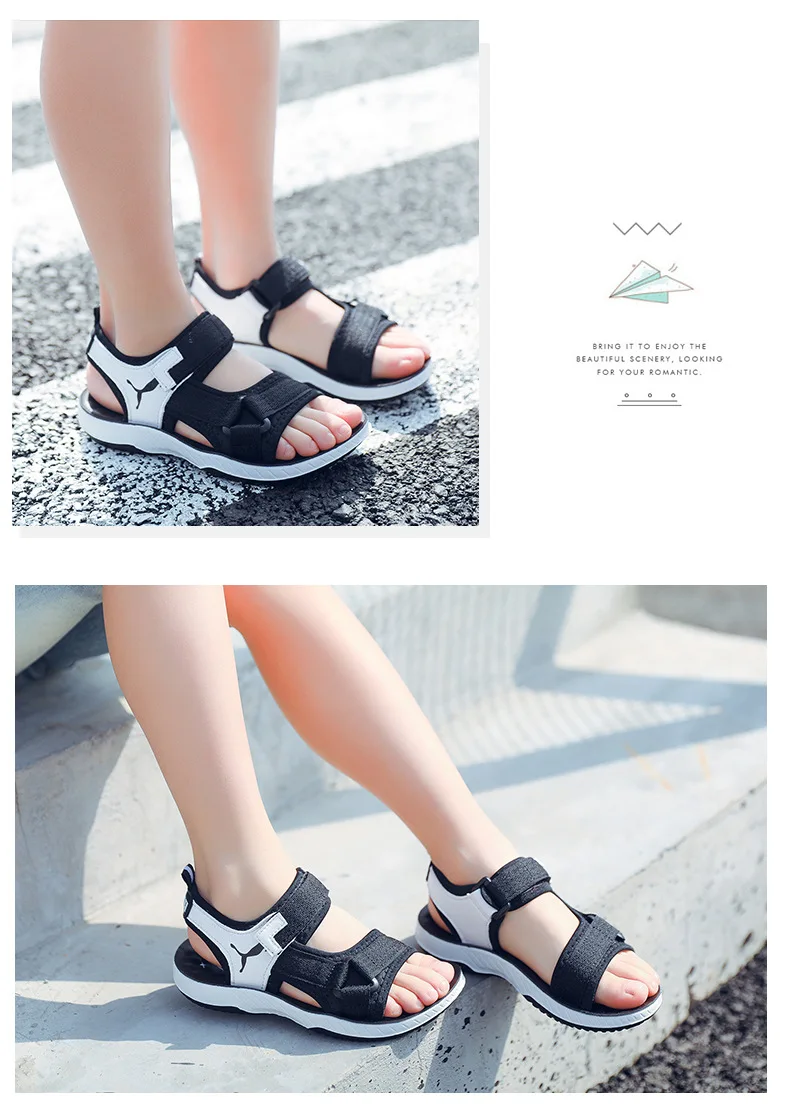 8554815575_1919636530