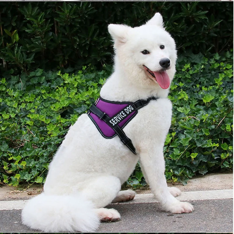 Carrywon High Quality Pet Dog Adjustable Harness Vest Reflective Collar