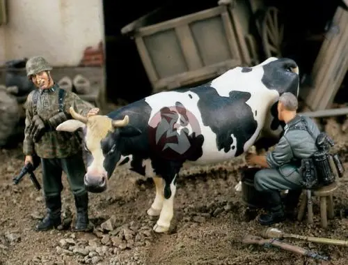 Fresh Milk German Soldiers Milking Cow WWII
