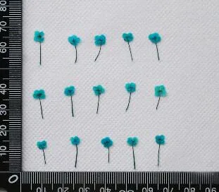 120 шт прессованный высушенный мини Lobularia maritama цветок гербарий из растений для ювелирных изделий открытка с пригласительным билетом делая аксессуары - Цвет: Небесно-голубой