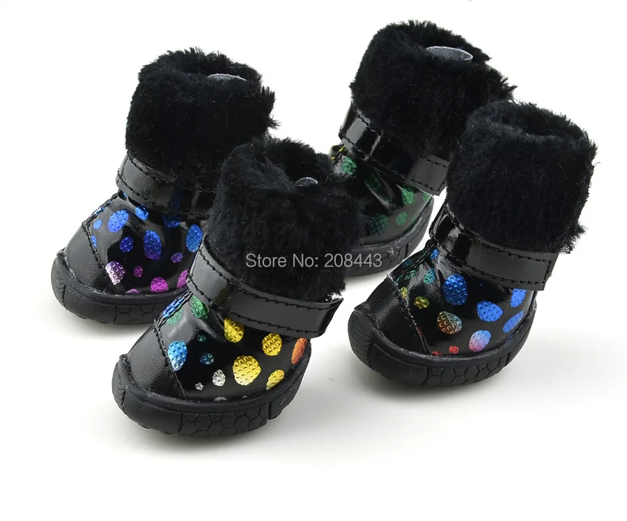shih tzu boots