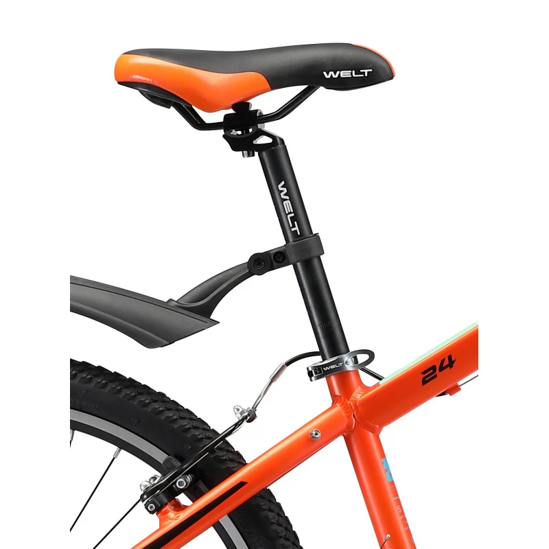 Adolescence bike Welt Peak 24