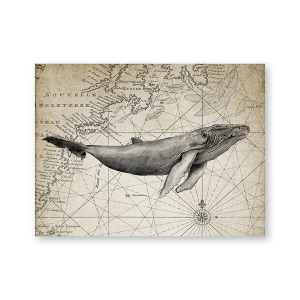 Humpback Whale Print Whale Illustration Vintage Poster Marine Decor Nautical Art Canvas Painting Picture Home Wall Art Decor Painting Calligraphy Aliexpress