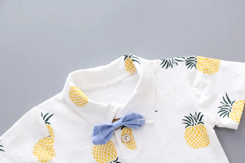 8726384478_1116374923