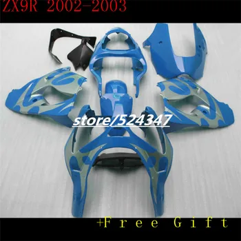 

hot sales manufacturers Ninja ZX9R 02-03 ZX kawasaki Ninja ZX9R smooth light blue motorcycle fairing of the silver flame-Nn
