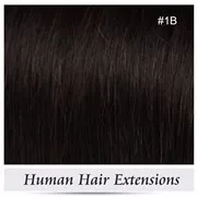 1b