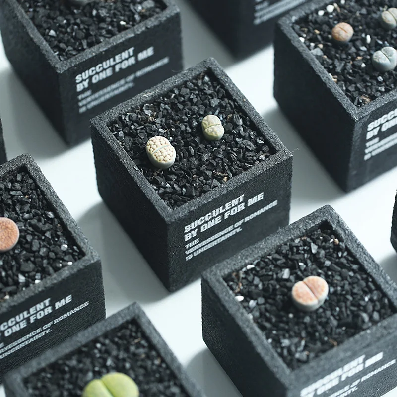 

Garden Flower Desktop Resin Flower Pots Mini 1 piece Flower Box Small Pots For Plants Black Not including the plants