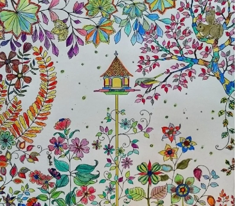 Secret Garden An Inky Treasure Hunt And Coloring Book For Children Secret Garden An Inky Treasure Hunt And Coloring Book For Children Relieve Stress Kill Time Graffiti Painting Drawing In Books From Office