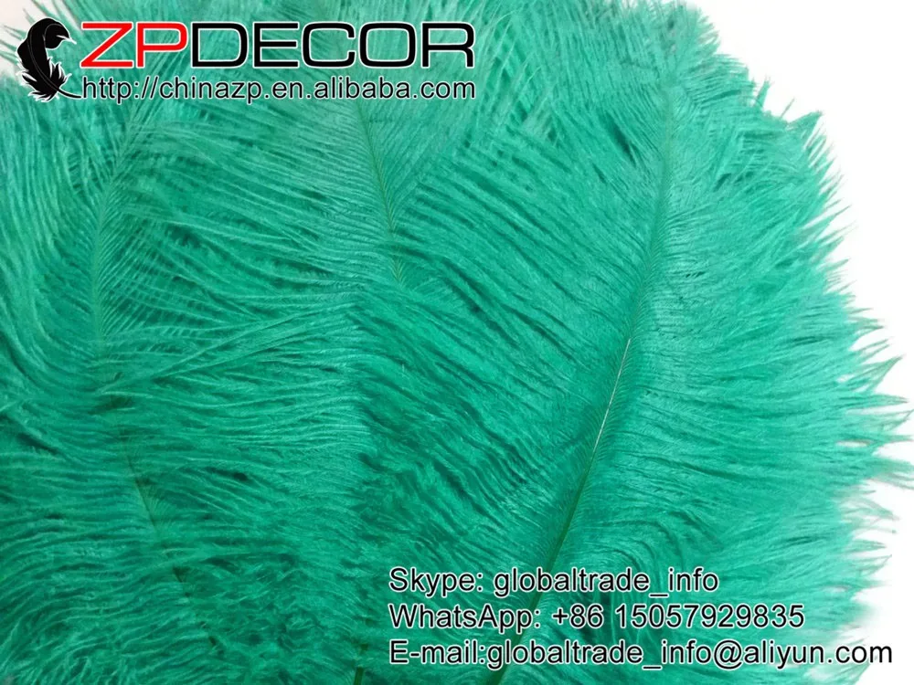 USA Ostrich Suppliers, 100 Pieces - 6-8 AQUA GREEN Wholesale Ostrich Drabs Feathers (bulk)2