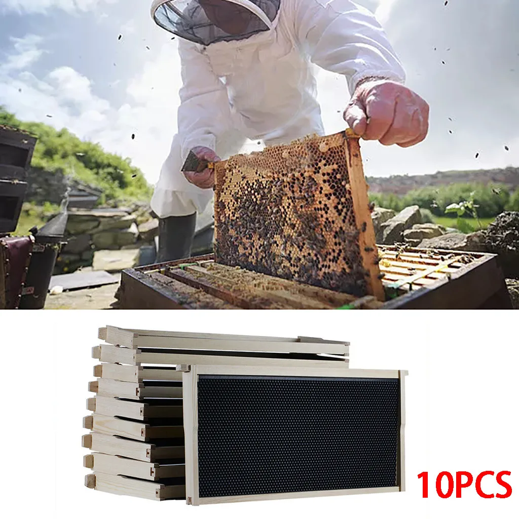 

Beeswax nest Beehive 10 Frame Kit 10 Foundation 10 Deep Frames For Langstroth Beekeeping Pine Beekeeping Equipment #10