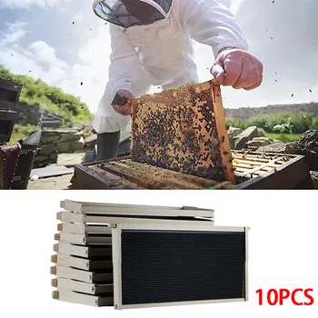 

Beeswax nest hive 10 frame kit bee nest honey building concentrating board beekeeping beekeeping equipment #10