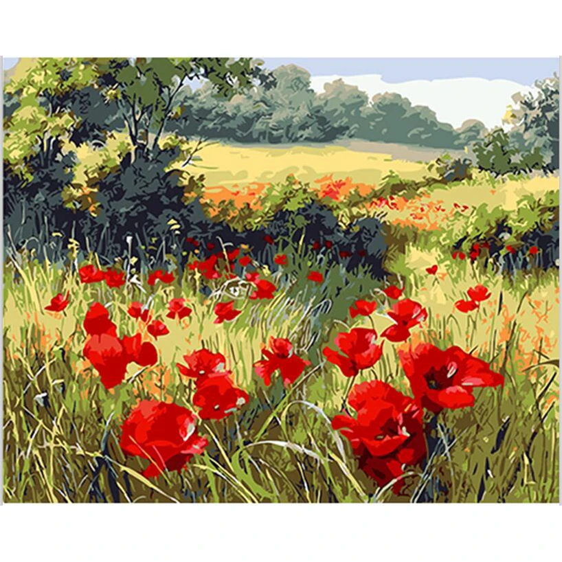 

Wild red poppy flower picture,Wall Art DIY Painting By Numbers Hand Painted On Canvas Wall Painting Home Decor gift YF1507