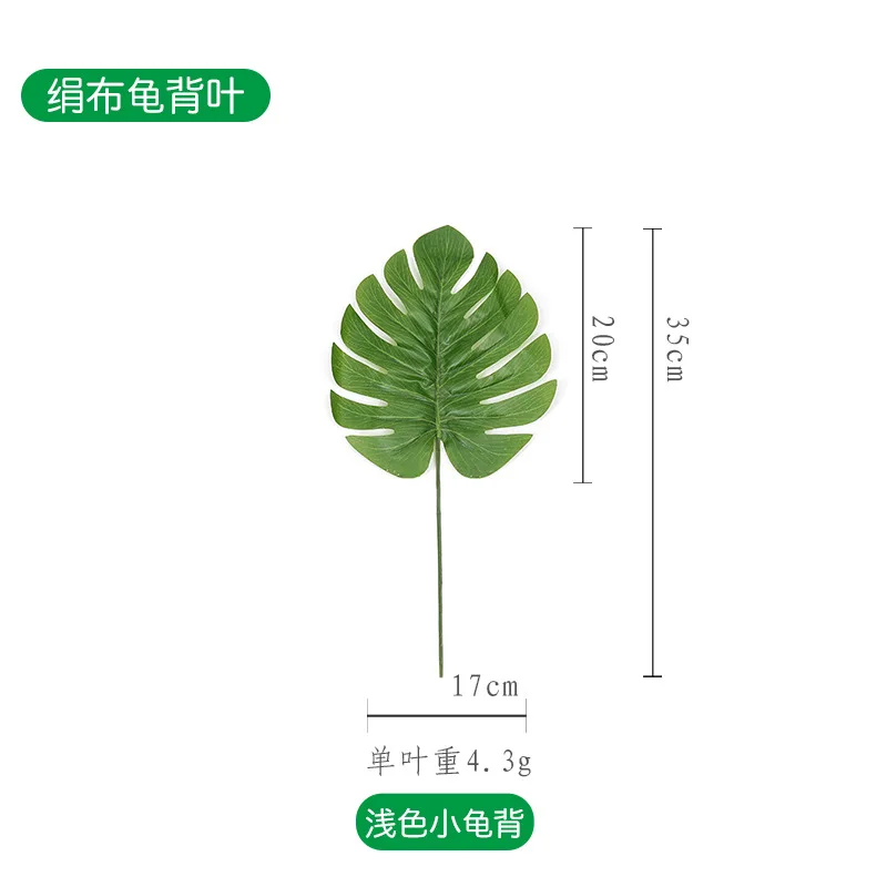 Монстера декалиоза. Пальма монстера. Монстера мелколистная сорт. Монстера форма листьев. Монстера форма листьев.
