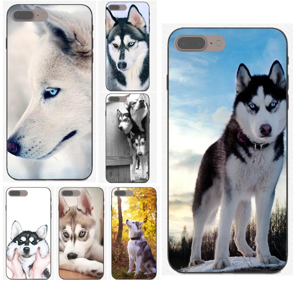 

Sexy Siberian Husky Lovely Dog Pattern For Samsung Galaxy A3 A5 A6 A6s A7 A8 A9 Star Plus 2016 2017 2018 Drawing TPU