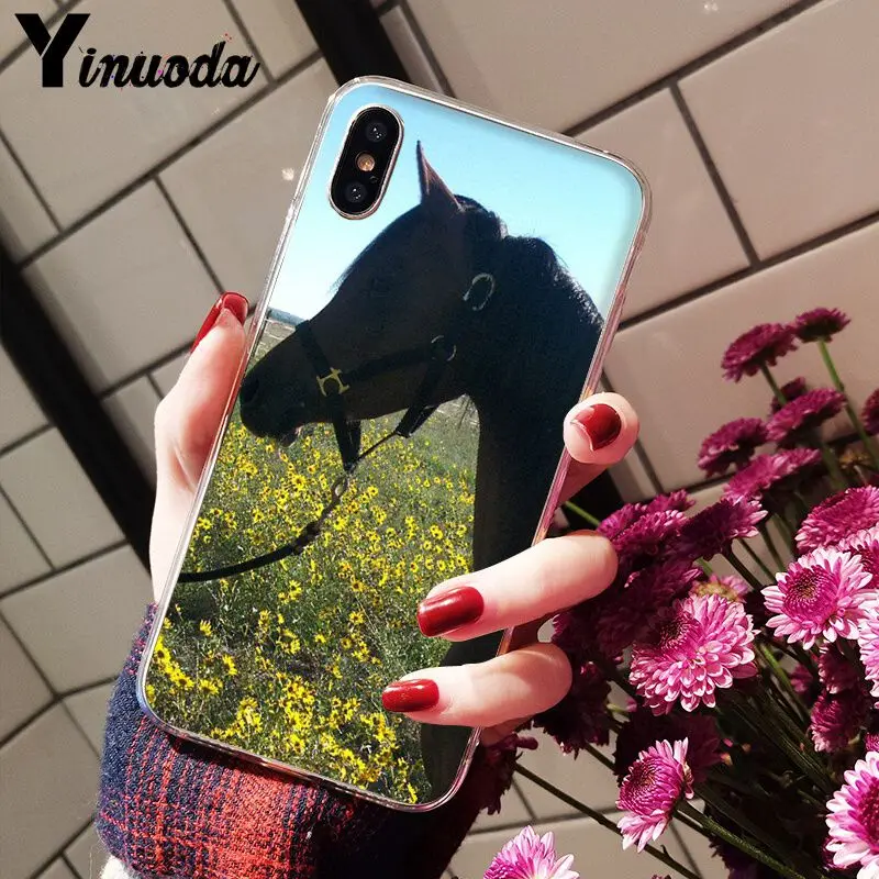 The Great beauty horse