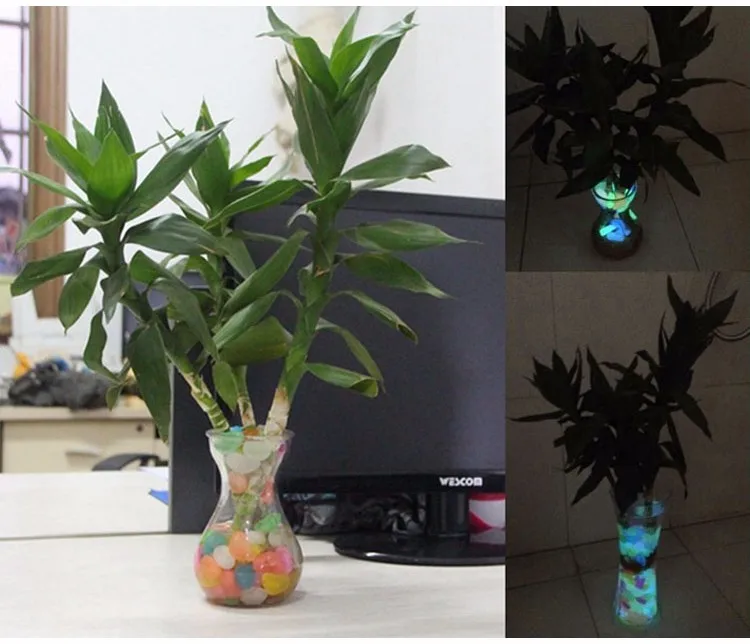 2559896549_905204476