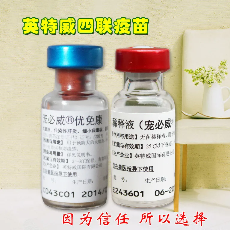 Netherlands Intervet vaccine imported dog dogs quadruple / pentavalent