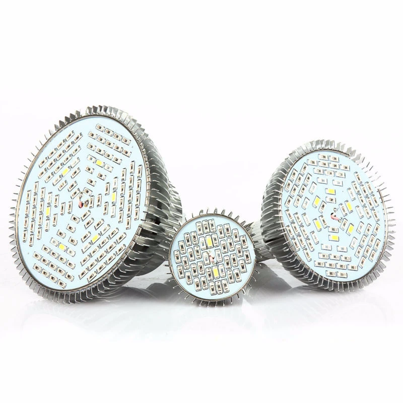 8191001205_1585587929