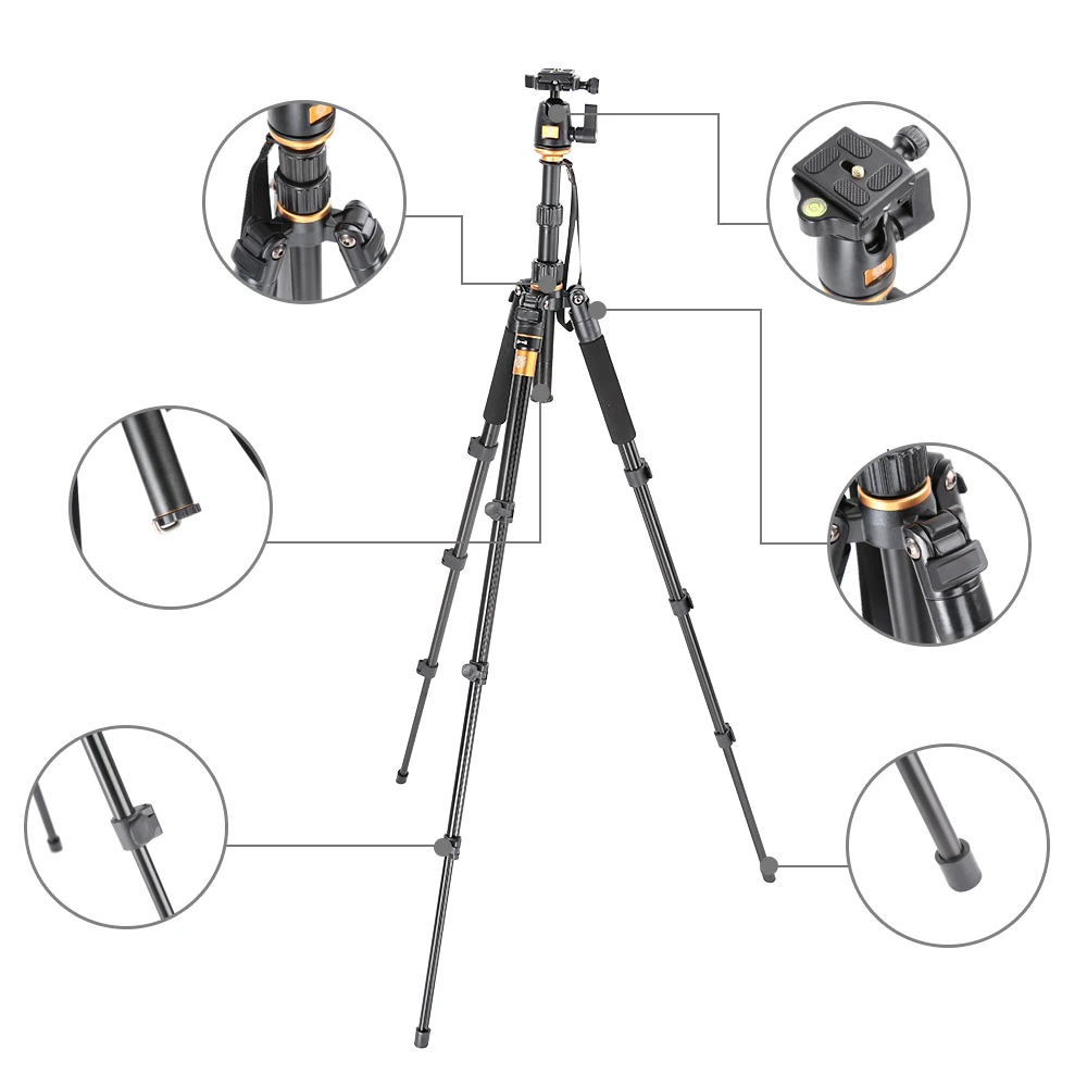 QZSD Q555 Pro Portable Magnesium Aluminium Tourism Tripod Monopod with Ball Head