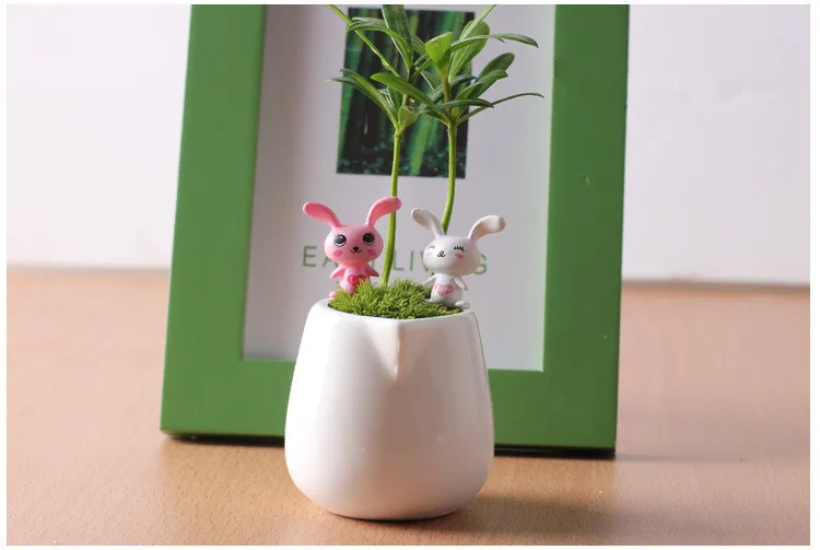 3373992652_393786582