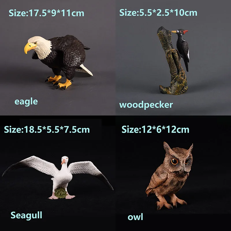 

DDWE Simulation Wild Bird Eagle/Woodpecker/Seagull Life Model PVC Toy Early Education Birds Animals Figure Gifts For Children