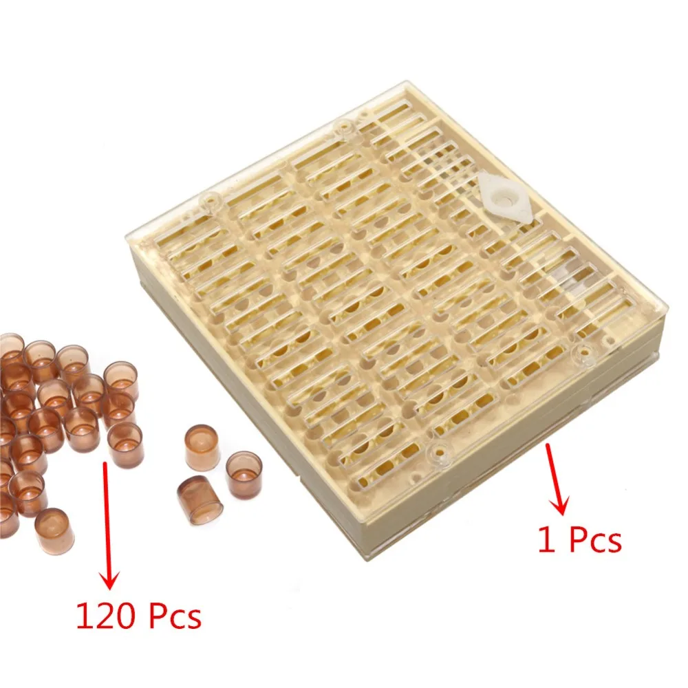 Пчеловодная королева Rearing Cupkit коробка 120x коричневый сотовый CupsSystem Cupularve